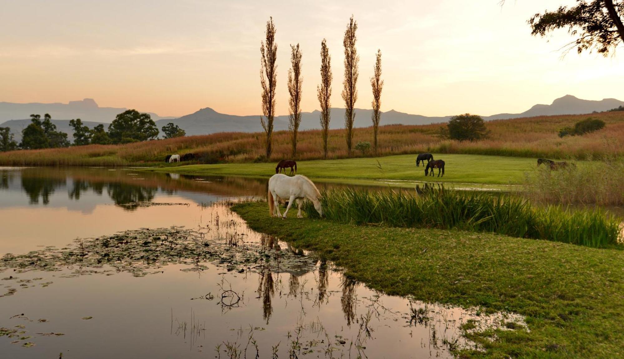 Montusi Mountain Lodge Bonjaneni ภายนอก รูปภาพ